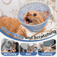 Cat Cone Collar Soft to Stop Licking After Surgery, Waterproof Lightweight Recovery Collar for Cats and Small Dogs, Elizabeth Plastic Cone Alternative, Neck Pillow to Prevent Scratches