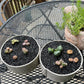 TOYPOPOR 6lb Succulents and Cactus Black Sand, Décor & Additive Tiny Stones, DIY Rocks Gravel, Decorative Pebbles for Bonsai, Fairy Gardening, Terrarium, Vases Fillers, Top Dressing