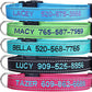 Personalized Dog Collar, Custom Embroidered Pet Name and Phone Number 4 Adjustable Sizes X-Small Small Medium Large Quick Release Buckle and D-Ring