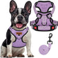 MIDOG No-Pull Dog Harness | Adjustable & Reflective Pet Harness Leash Set for Small Medium Large Dogs Walking, Training| No Choke, Front Clip, Soft Padded Vest with Easy Control Handle - Purple, M