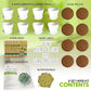 Deluxe Indoor & Outdoor Herb Garden Kit – 8 or The Most Popular Culinary Herbs with Pots & Soil for Windowsill or Patio Growing