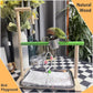 Bird Palyground, Parrot Playstand Natural Wood, Bird Perch Stand Gym with Feeder Cups and Removable Tray, Bird Cage Accessories for Parakeets Cockatiels Lovebirds