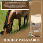 Equerry's Economy Equine Supplement - Horse Probiotics | Supplement for Horses | Horse Vitamins and Minerals Supplement with Enzymes and Selenium, 10lb