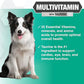 Nootie PROGILITY Daily Multivitamin Chews for Dogs - Supports Immunity, Heart, Eye, Brain, and Bone Health with Taurine- for All Dog Sizes - 90 Soft Chews. - Sold in Over 5,000 Pet Stores