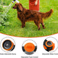 Dog Washing Hose Attachment, 10-in-1 Soap Sprayer Moden Garden Hose Nozzle with 100cc Soap Dispenser, Dog Wash Supplies with Dog Bath Brush & Pet Comb, Foam Gun Car Wash Sprayer (Orange)