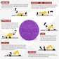 Yes4All Medium Firm Round PE Foam Roller 12, 18, 24, 36 Inches for Pilates, Yoga, Stretching, Balance & Core Exercises