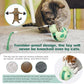 Cat Treat Interactive Toy, Indoor Puzzle Slow Feeding Mental Stimulation Sliding Rolling Cat Toy Ball with Cat Teaser, Cat Treat Dispenser Toy for Large, Medium and Small Cats (Green, ladybug)