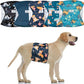 5 Pack Dog Diapers Male,Reusable Leakproof Pet Soft Dog Belly Band Wraps,High Absorbency Male Dog Diaper,Wider Washable Belly Band for Doggy Incontinence and Puppy Training