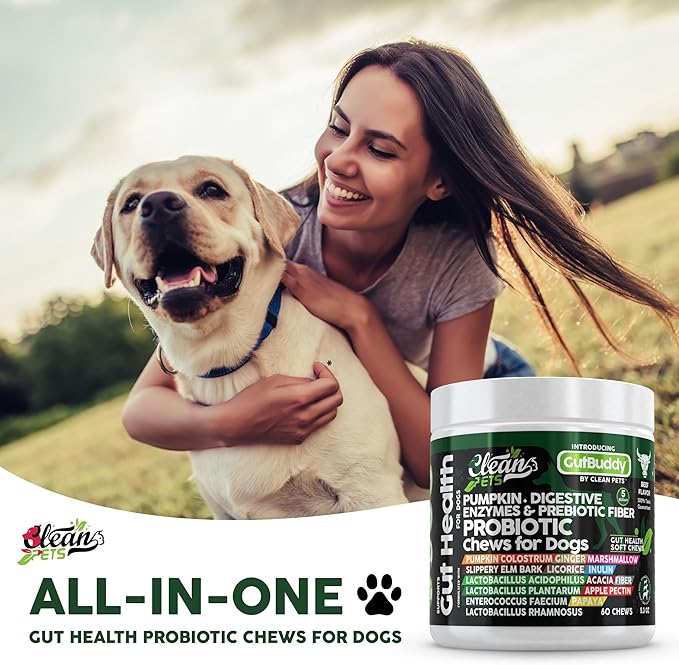 Probiotics for Dogs with Pumpkin, Colostrum, Digestive Enzymes, Ginger, Slippery Elm, Licorice, Inulin Fiber & More | Beef Flavor Soft Chews for Gut Health and Digestion Dog Supplement