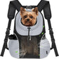 WOYYHO Pet Dog Carrier Backpack Small Dog Front Backpack Ventilated Mesh Dog Travel Back Pack with Safety Belt for Travel Hiking Cycling Outdoor Use (L (10-14 lbs), Grey)