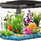 Koller Products 6.5-Gallon Aquarium Kit with Power Filter and LED Lighting, (AP650)