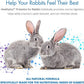 HealthyGut Probiotics for Rabbits Dietary Supplement, All-Natural Digestive System Formula (120 Servings)