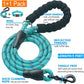 Heavy Duty Dog Leash - Comfortable Padded Handle, 5 ft Long - Dog Leashes for Small Medium Large Dogs (Leash+Collar M Neck 16"-20", Blue)