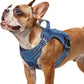 rabbitgoo Dog Harness Small Sized No Pull, Tactical Service Pet Vest with Molle and Control Handle, Adjustable and Reflective Military Harness for Easy Walking and Training, Blue, S