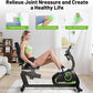 Caromix Recumbent Exercise Bike for Adults Seniors, Stationary Bike for Home with Comfortable Seat and Heart Rate Handle, Magnetic Resistance Indoor Cycling Bike with 300LBS for Cardio Workout