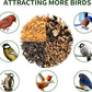 Solution4Patio US Cedar Hopper Bird Feeder for Outdoors Hanging, Handcrafted Wood Double Suet Cage & Clear View Windows, Squirrel-Proof Wild Bird Feeder for Cardinals, Finches, Chickadees