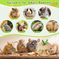 10 PCS Guinea Pig Chew Toys for Teeth, Rabbit Chew Toys Contain Natural Timothy Apple Core, Grass Cake, Carrot and Strawberry;Hamster toys for Bunny Chinchilla Gerbil Dental Care & Treat Teething