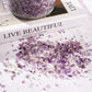 3 Lb Amethyst Crushed Stones Quartz Crystals Chips Bulk, Natural Tumbled Healing Stones for Decorative Fish Tank Vase Fillers Aquarium Gravel Rocks