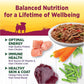 Wellness Petite Entrées Shredded Medley with Roasted Chicken, Beef, Green Beans & Red Peppers, 3-Ounce Cup (Pack of 12)