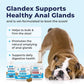Vetnique Glandex Dog Fiber Supplement Powder for Anal Glands with Pumpkin, Digestive Enzymes & Dog Probiotics for Digestive Health - Vet Recommended - Boot The Scoot (Vegan Salmon, 2.5oz Powder)