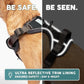 Embark Adventure Dog Harness, Reflective Trim No Pull Dog Harness Medium Sized - Military Grade Nylon, Front Clip with Gel Lined Handle. Soft & Padded Puppy Harnesses for Any Breed