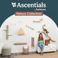 Cat Climbing Wall System – Modern Floating Shelves & Perches for Cats - Sunrise Steps | Ascentials by FurHaven