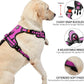 NESTROAD No Pull Dog Harness,Adjustable Oxford Dog Vest Harness with Leash,Reflective No-Choke Pet Harness with Easy Control Soft Handle for Large Dogs(Large,Fuchsia Pink)