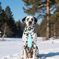 PET SHOW 10 Pack Winter Big Dog Ties Neckties for Extra Large Breed Dogs XL Adjustable Neck Ties Girl Boy Pets Snowflake Costumes Dog Grooming Accessories Holiday Party Gift Favor
