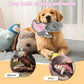 Plush Large Dog Toys with Squeaker and Crinkle Paper, Interactive Puppy Chew and Teeth Cleaning Toy, Pet Toys for Small, Medium and Large Dogs