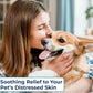 Replenish Antiseptic Spray for Dogs – Medicated Anti Itch Spray for Pets – Chlorhexidine & Ketoconazole Pet Spray – Dog Itching Skin Relief - Antiseptic Spray for Cats Skin Allergy – 8 oz