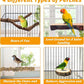 6Pcs Natural Wooden Bird Perch Grape Stick Claw Grinding Fork Bird Perching Branch Claw Grinding Stick Parrot Standing Platform Parrot Cage Chewing Accessories for Parrots Lovebirds Parakeets