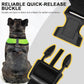 BINGPET No Pull Dog Harness,Soft Mesh Breathable All Weather Vest Harness,Safety Protection Design Durable Adjustable Step-in Easy Walk Dog Harness for Small Medium Large Dogs(Green,L)
