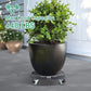 W B D WEIBIDA Round Dolly with Wheels Heavy Duty, Adjustable Pot Dolly 16-20 Inch, Large Plant Mover Indoor Outdoor, Muti Functional Rolling Dolly for Trash Can, Keg, Drum, Barrel