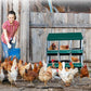 Nesting Boxes for Chickens, Chickens Laying Boxes for Chicken Coop with Legs, 6 Compartments Chicken Nesting Boxes, with Removable Tray, Easy Cleaning, for Hens Outdoor Chicken Coop Farm Yard, Green