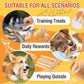 Salmon Sticks for Dogs,Real Salmon and Carrots,Easily Digestible,High Protein Dog Treat,Freshens Breath Healthy,for All Breeds (100g)