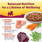 Wellness Petite Entrées Shredded Medley with Tender Chicken, Turkey, Carrots & Green Beans, 3-Ounce Cup (Pack of 12)