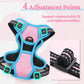 rabbitgoo Dog Harness No Pull with 2 Leash Clips, Adjustable Soft Padded, Reflective Oxford No Choke Pet Vest with Easy Control Handle for Puppy, Pink & Blue, XS