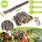 600g Small Apple Sticks Animals Molar Wood Treats Toys for Rabbits Chinchillas Guinea Pig Hamster Gerbil Parrot Bunny Chew Stick Toys Treats, 21.2 OZ