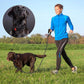 Heavy Duty Dog Leash - Comfortable Padded Handle, 5 ft Long - Dog Leashes for Small Medium Large Dogs (Leash+Collar L Neck 20"-25", Black)