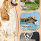 Upgrade Indestructible Dog Tennis Balls, Durable Bouncy Dog Toys for Aggressive Chewers, Teething & Fetch Game (4 White)