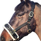 T TEKE Lunge Cavesson with Fleece Lined Nose Band and Crown