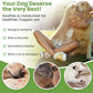 Hot Spot Treatment for Dogs, Cats & Pet Wound Care: Healing Ointment for Pets Itchy Skin Relief, Dry Skin Treatment, Natural Allergy Relief, Dog Paw Balm + Manuka Honey, Aloe Vera, Vitamin E (2 Oz.)