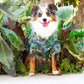 Parisian Pet Unisex Amazonia Shirt - Leafy Beach Outfit for Dogs - Cotton Summer Clothes - Stylish Hook and Loop Closure Costume - Machine Washable Shirts for Small Dogs - XS