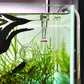 Glass Lily Pipe Spin Outflow with Surface Skimmer for Aquarium Planted Tank (17mm for 16/22mm (5/8'' i.d.) tubing)