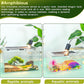 12.5''×6''×7'' Reptile Tank Kit with Heat Lamp, Spray Bottle, Shovel, Tweezers, Food Bowl, Hideout -Perfect for Geckos, Snakes, Lizards, Turtles, Jumping Spider,Milk Frog,Hermit Crabs