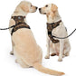 NESTROAD No Pull Dog Harness,Adjustable Oxford Dog Vest Harness with Leash,Reflective No-Choke Pet Harness with Easy Control Soft Handle for Small Dogs(Small,Dark Brown)