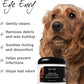 Eye Envy Fresh Ear Cleaning Wipes for Dogs. Made in The USA from Natural Ingredients. Unscented. Prevents Infections. Safe and Non-Irritating. Removes Dirt, Debris, and Wax buildup. 60 Count.