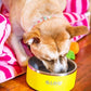 Dog Bowl, Non-Slip Stainless Steel Pet Bowl with Vacuum Insulated Design, Keeps Water Cool, Easy to Clean, Modern Style, 64 oz, Yellow