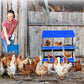 Chicken Nesting Boxes, 6 Hole Metal Chicken Laying Box with with Removable Trays and Roll Out Egg Collection for Chicken Coop, with Metal Bracket, Blue