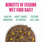 Weruva BFF Minced Natural Wet Cat Food, Tuna and Pumpkin Valentine in Gravy, 3oz Can, Pack of 24